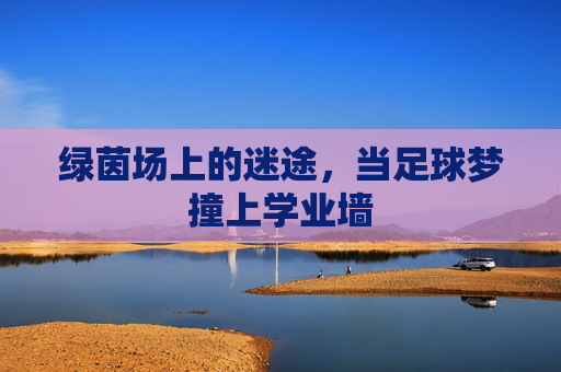 绿茵场上的迷途,当足球梦撞上学业墙
