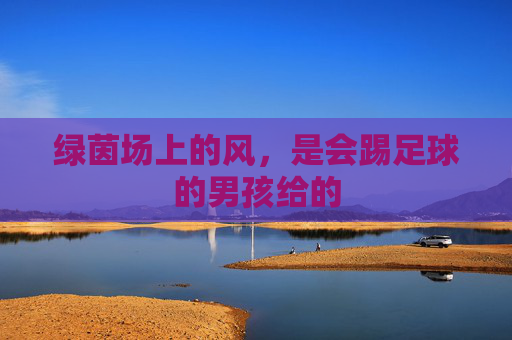 绿茵场上的风,是会踢足球的男孩给的