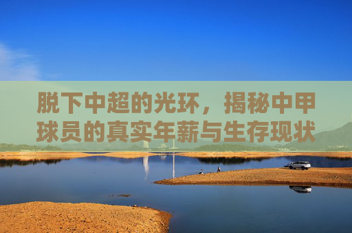 脱下中超的光环,揭秘中甲球员的真实年薪与生存现状