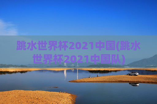 跳水世界杯2021中国(跳水世界杯2021中国队)