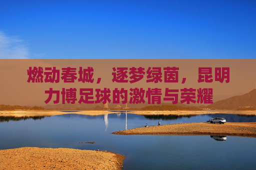 燃动春城,逐梦绿茵,昆明力博足球的激情与荣耀