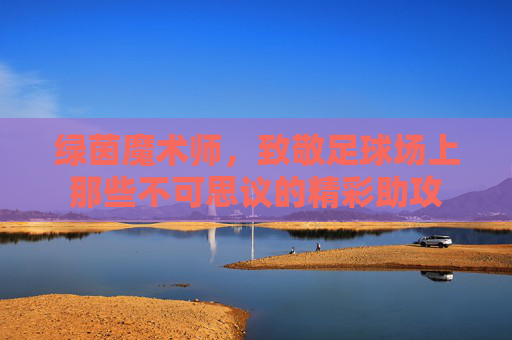 绿茵魔术师,致敬足球场上那些不可思议的精彩助攻
