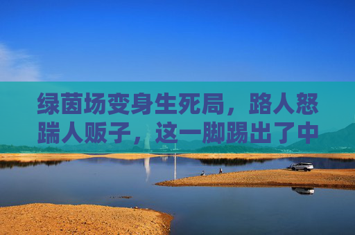 绿茵场变身生死局,路人怒踹人贩子,这一脚踢出了中国式守护