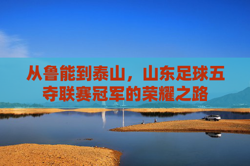 从鲁能到泰山,山东足球五夺联赛冠军的荣耀之路