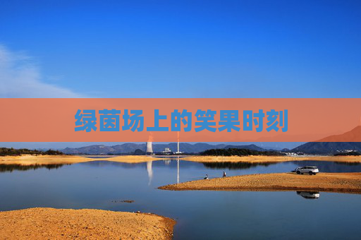 绿茵场上的笑果时刻