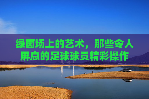 绿茵场上的艺术,那些令人屏息的足球球员精彩操作