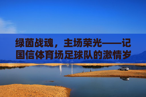 绿茵战魂,主场荣光——记国信体育场足球队的激情岁月