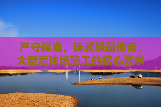 严守标准,铸就绿茵传奇,大型足球场施工的核心要求与技术解析