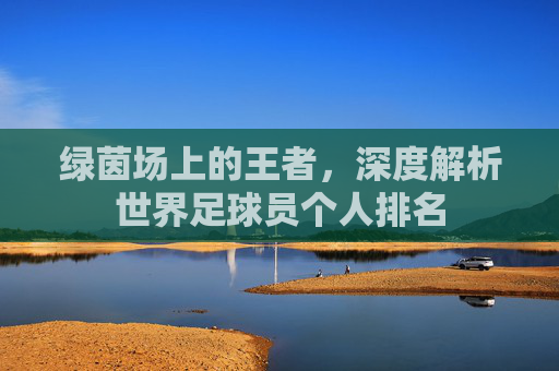 绿茵场上的王者,深度解析世界足球员个人排名