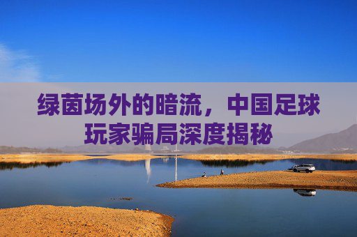 绿茵场外的暗流,中国足球玩家骗局深度揭秘