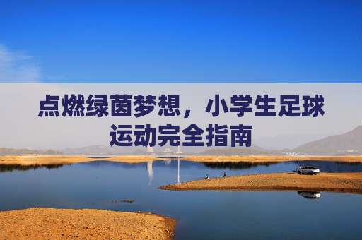 点燃绿茵梦想,小学生足球运动完全指南