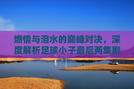 燃情与泪水的巅峰对决,深度解析足球小子最后两集剧情