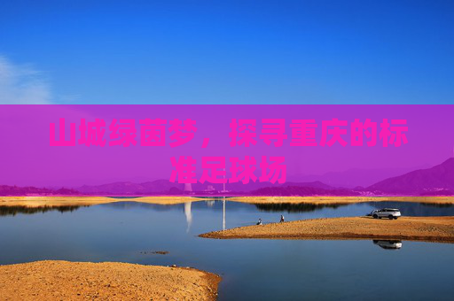 山城绿茵梦,探寻重庆的标准足球场