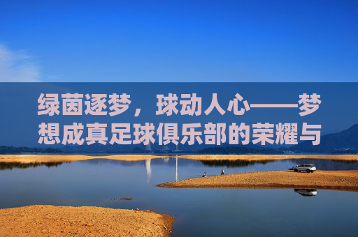 绿茵逐梦,球动人心——梦想成真足球俱乐部的荣耀与成长