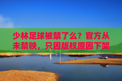 少林足球被禁了么?官方从未禁映,只因版权原因下架