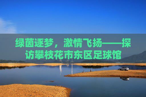 绿茵逐梦,激情飞扬——探访攀枝花市东区足球馆
