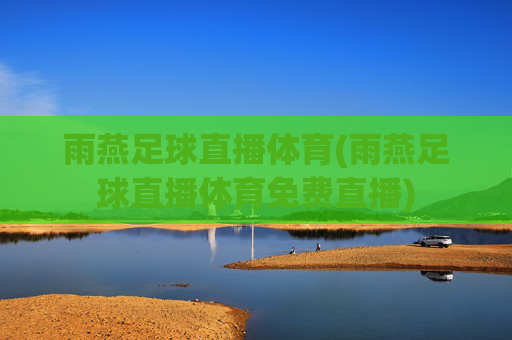 雨燕足球直播体育(雨燕足球直播体育免费直播)