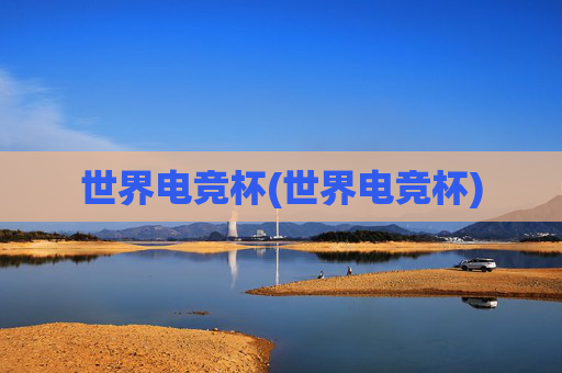 世界电竞杯(世界电竞杯)