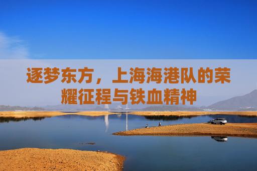 逐梦东方,上海海港队的荣耀征程与铁血精神