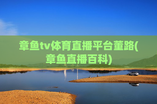 章鱼tv体育直播平台董路(章鱼直播百科)