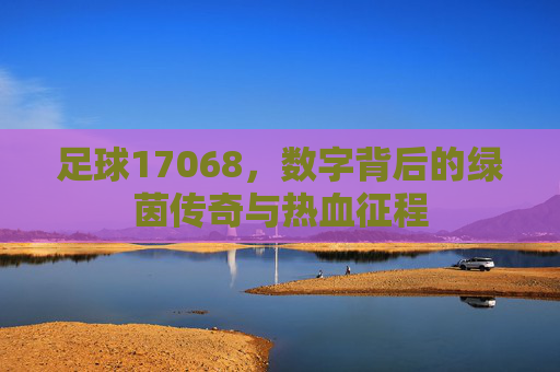 足球17068,数字背后的绿茵传奇与热血征程