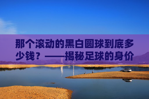 那个滚动的黑白圆球到底多少钱?——揭秘足球的身价