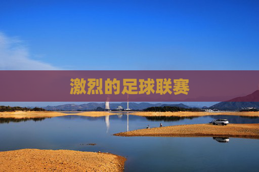 激烈的足球联赛