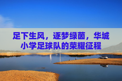 足下生风,逐梦绿茵,华城小学足球队的荣耀征程