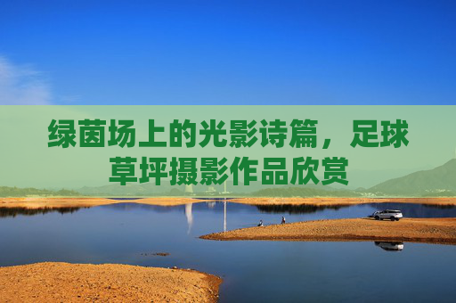 绿茵场上的光影诗篇,足球草坪摄影作品欣赏