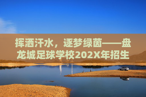 挥洒汗水,逐梦绿茵——盘龙城足球学校202X年招生正式启动