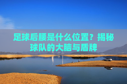足球后腰是什么位置?揭秘球队的大脑与盾牌