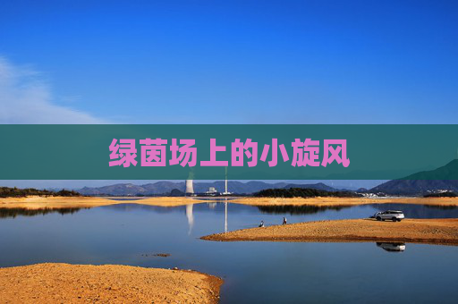 绿茵场上的小旋风