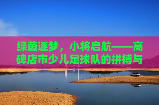 绿茵逐梦,小将启航——高碑店市少儿足球队的拼搏与成长
