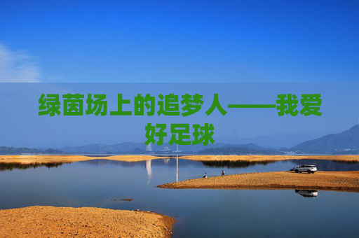 绿茵场上的追梦人——我爱好足球