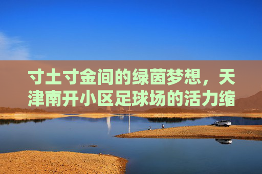 寸土寸金间的绿茵梦想,天津南开小区足球场的活力缩影