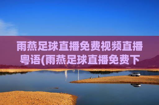 雨燕足球直播免费视频直播粤语(雨燕足球直播免费下载)