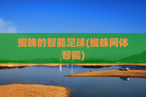 蜘蛛的智能足球(蜘蛛网体智能)