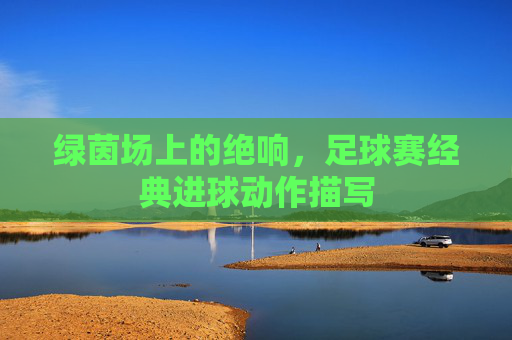 绿茵场上的绝响,足球赛经典进球动作描写