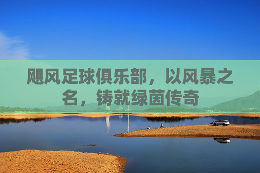 飓风足球俱乐部,以风暴之名,铸就绿茵传奇