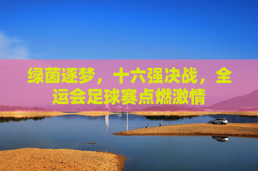 绿茵逐梦,十六强决战,全运会足球赛点燃激情