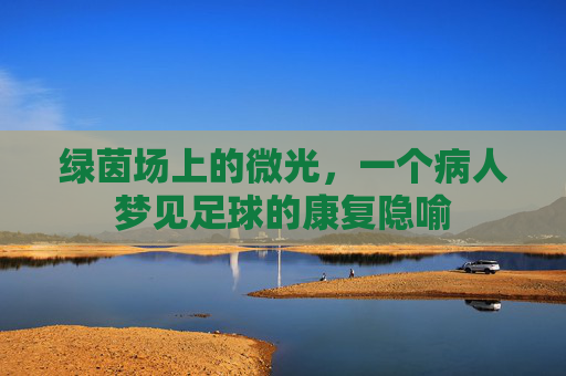 绿茵场上的微光,一个病人梦见足球的康复隐喻