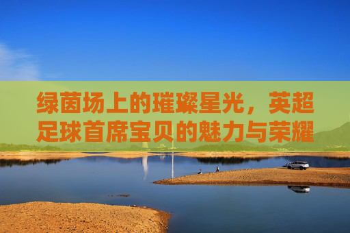绿茵场上的璀璨星光,英超足球首席宝贝的魅力与荣耀