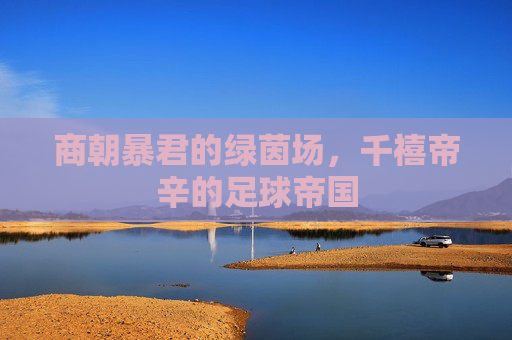 商朝暴君的绿茵场,千禧帝辛的足球帝国