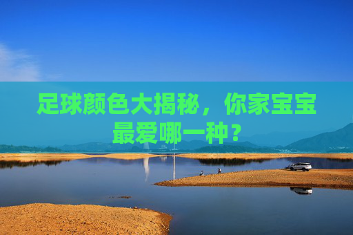 足球颜色大揭秘,你家宝宝最爱哪一种?