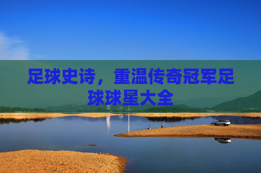 足球史诗,重温传奇冠军足球球星大全