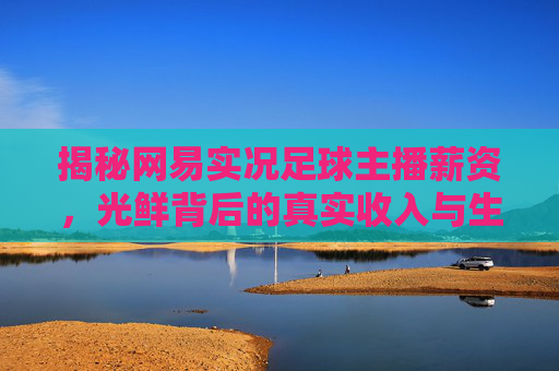 揭秘网易实况足球主播薪资,光鲜背后的真实收入与生存现状