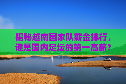 揭秘越南国家队薪金排行,谁是国内足坛的第一高薪?