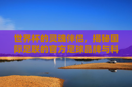 世界杯的灵魂伴侣,揭秘国际足联的官方足球品牌与科技演变