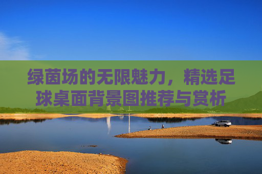 绿茵场的无限魅力,精选足球桌面背景图推荐与赏析