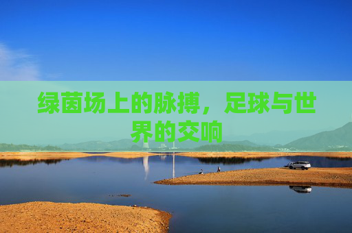 绿茵场上的脉搏,足球与世界的交响